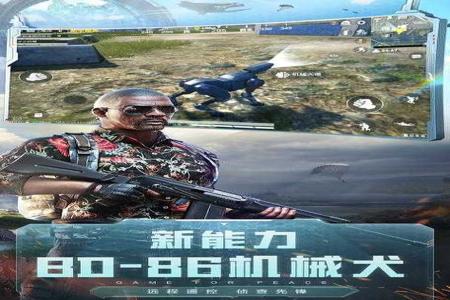 真正和平精英免费透视辅助不要ROOT(和平精英免费透视器推荐) 真正和平精英免费透视辅助不要ROOT(和平精英免费透视器推荐)